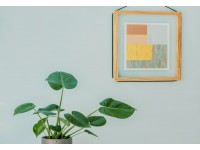 Pittorico - Pitture di qualità per interni