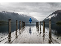 Pittorico - Verniciatura a base solvente